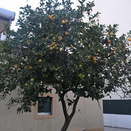 Casa Do Limoeiro Bed & Breakfast Quinta do Conde Ngoại thất bức ảnh